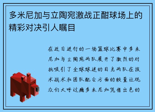 多米尼加与立陶宛激战正酣球场上的精彩对决引人瞩目